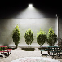 LED Flutlicht mit Bewegungsmelder VIDEX PIR 50W 4500Lm 5000K Weiß IP65 Fluter