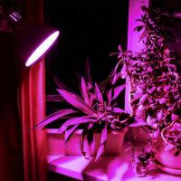 LED Pflanzenwachstumsbirne VIDEX E27 A60 8W FITO