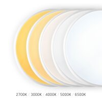 LED Notleuchte Wand- Deckenleuchte VIDEX VL-CLR-EM300-2 Notfallleuchte