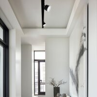 Spot-Schienenleuchte VIDEX für GX53 Lampe VL-SPF17C-BP